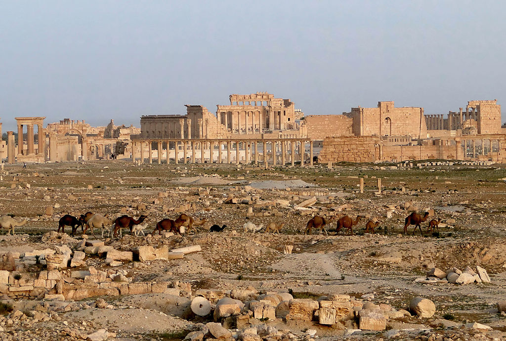 C:\Users\David7\Desktop\NewOldCities\Palmyra_Syria.jpg